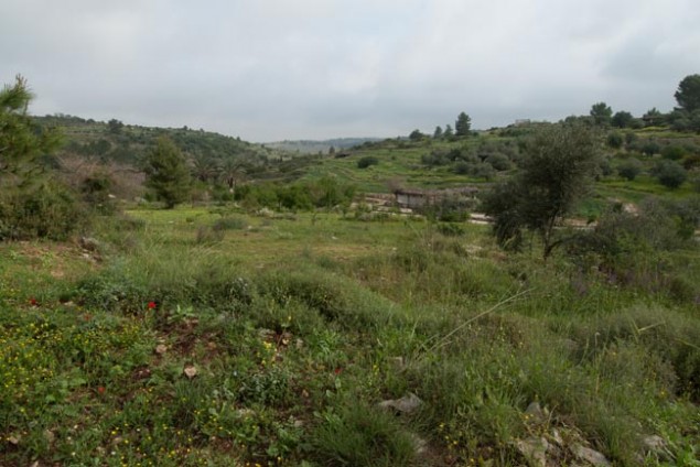 A springtime view of Neot Kedumim, the Biblical Landscape Reserve, in Central Israel.  Photos: Yehoshua HaLevi 