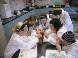 Students at The Silver Academy working in the science lab. Photos courtesy of the Silver Academy.