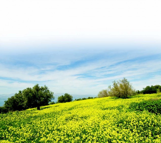 There is a Season Spring in Israel Jewish Action