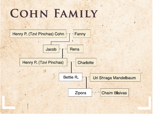 cohn family tree