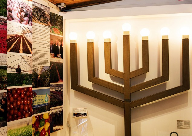 The menorah that once graced the synagogue of Netzarim, a town in Gush Katif that was destroyed in 2005. Photos: Yehoshua Halevi