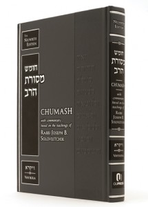 the Rav chumash vayikra